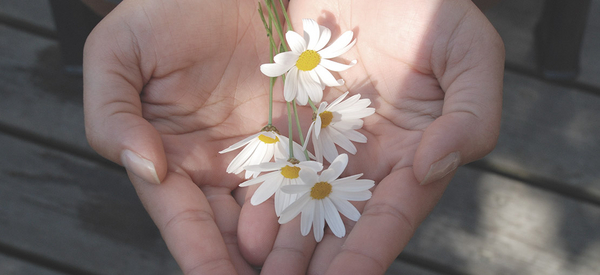 Blumen in offenen Händen