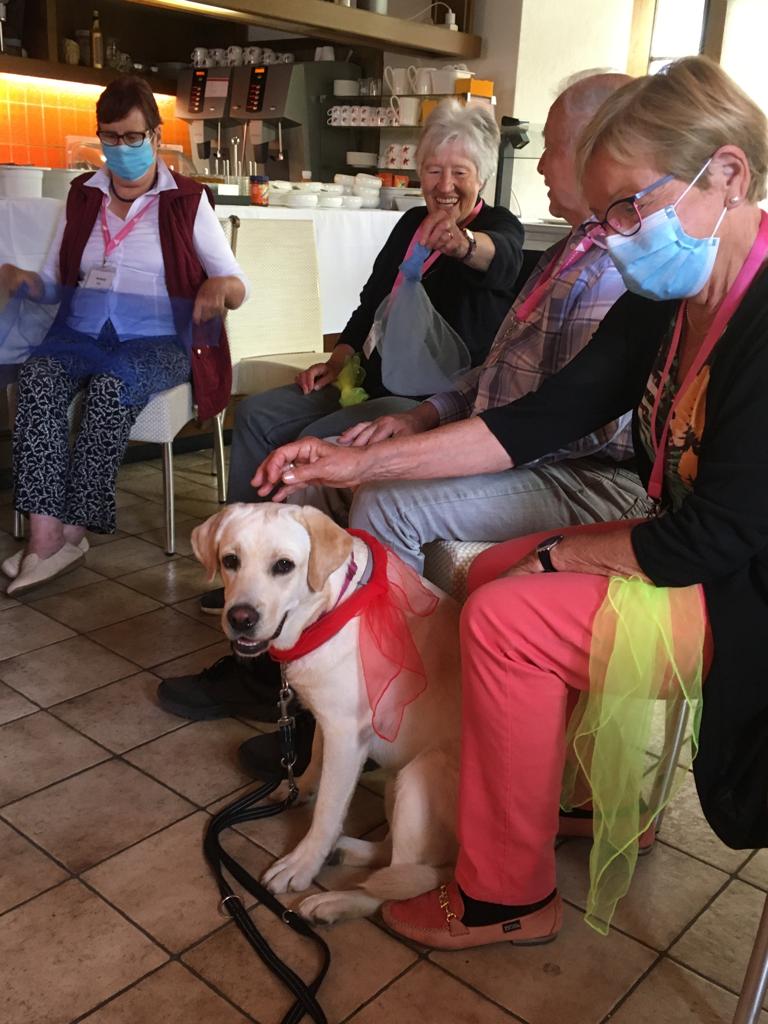 Vier sitzende Senioren mit Hund