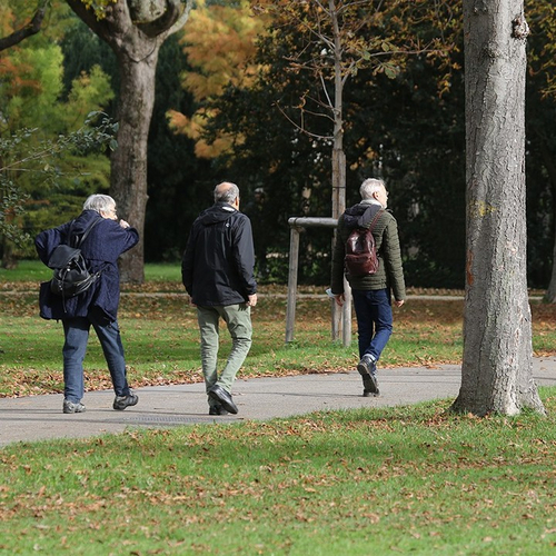 Gedächtnistraining im Park. Menschen mit Demenz können dank Alzheimer beider Basel ihr Gedächtnis unter freiem Himmel...